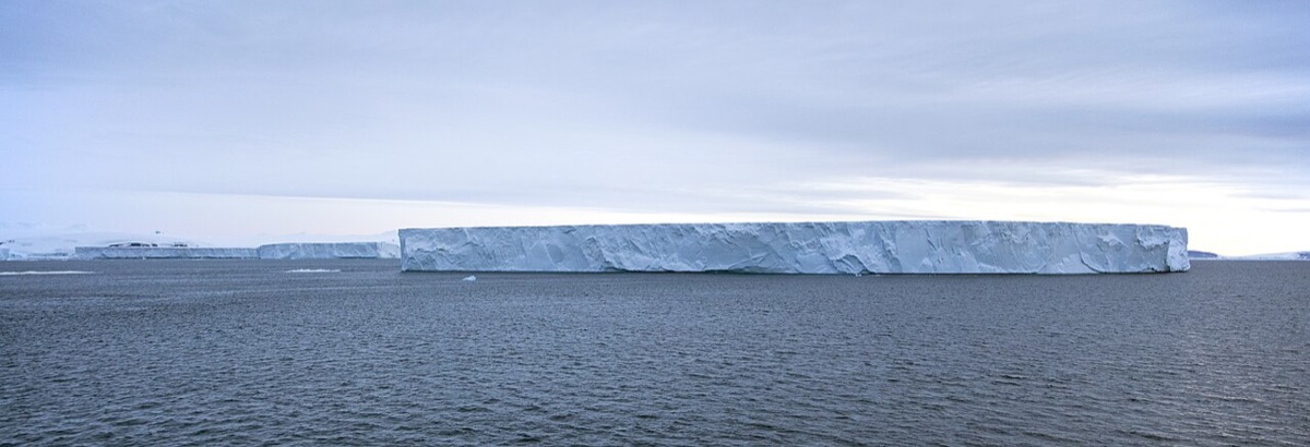 Bransfield Strait