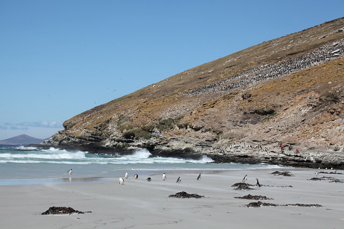 Falkland Islands