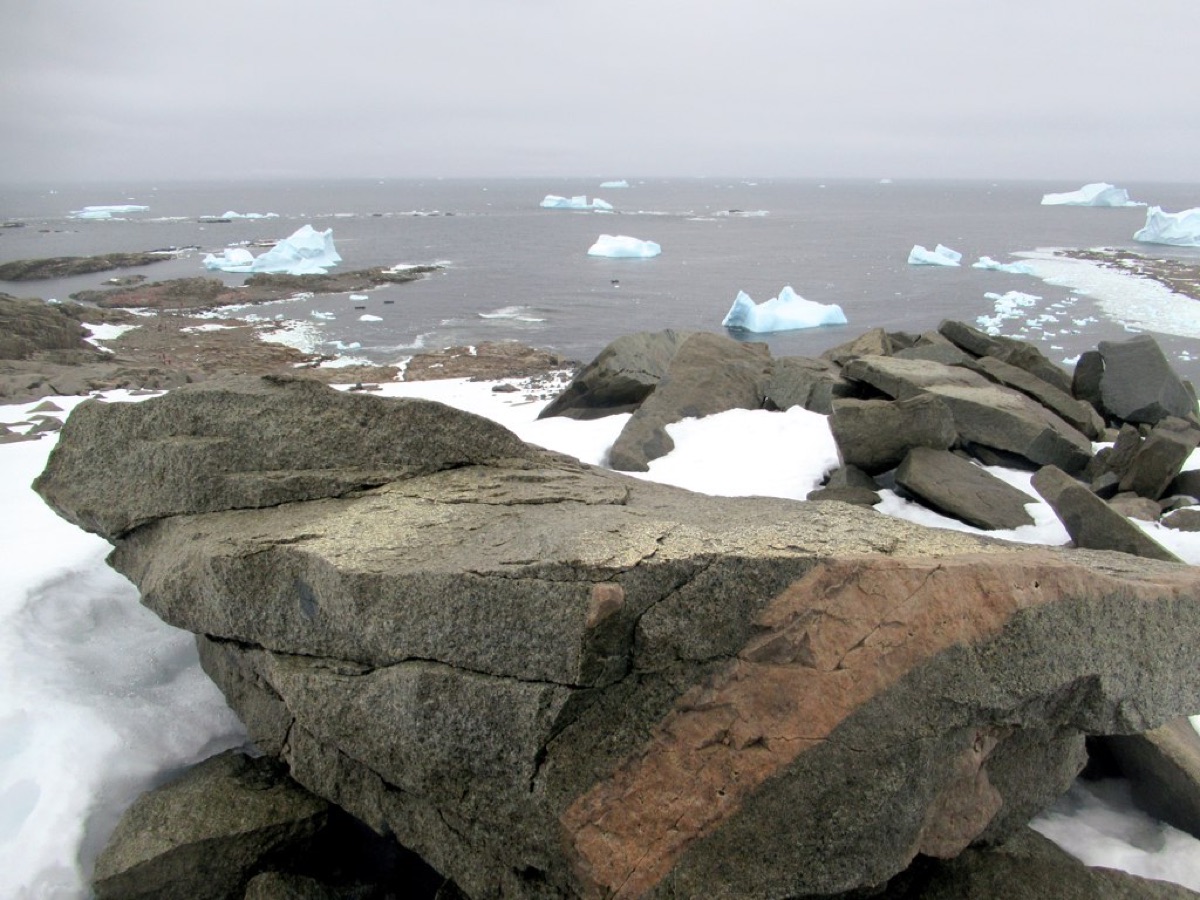 Marguerite Bay