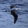 Drake Passage