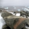 Marguerite Bay